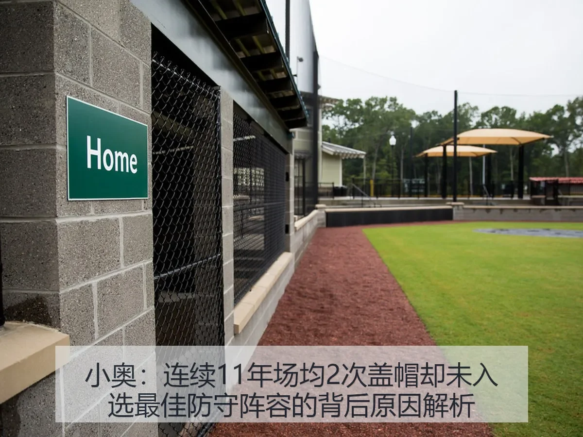 小奥:连续11年场均2次盖帽却未入选最佳防守阵容的背后原因解析