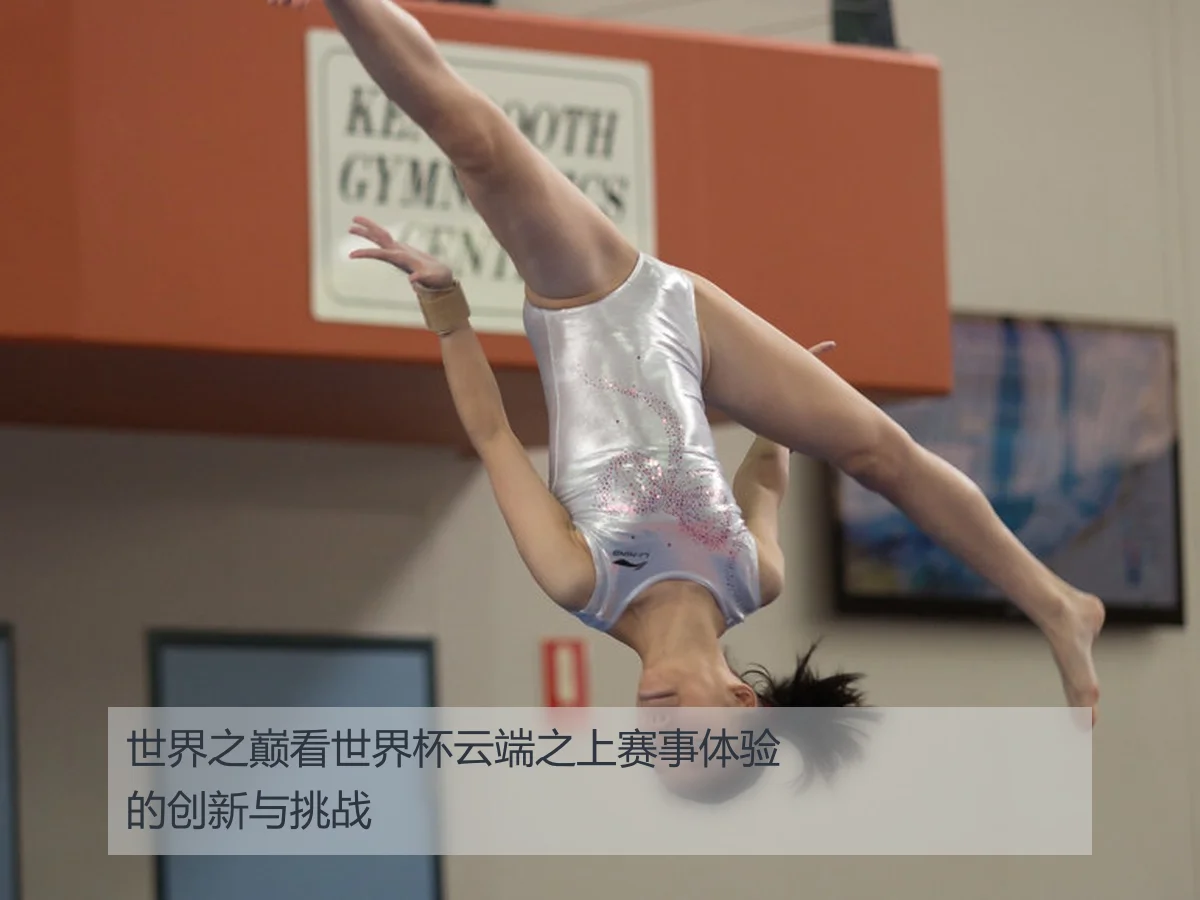 世界之巅看世界杯云端之上赛事体验的创新与挑战