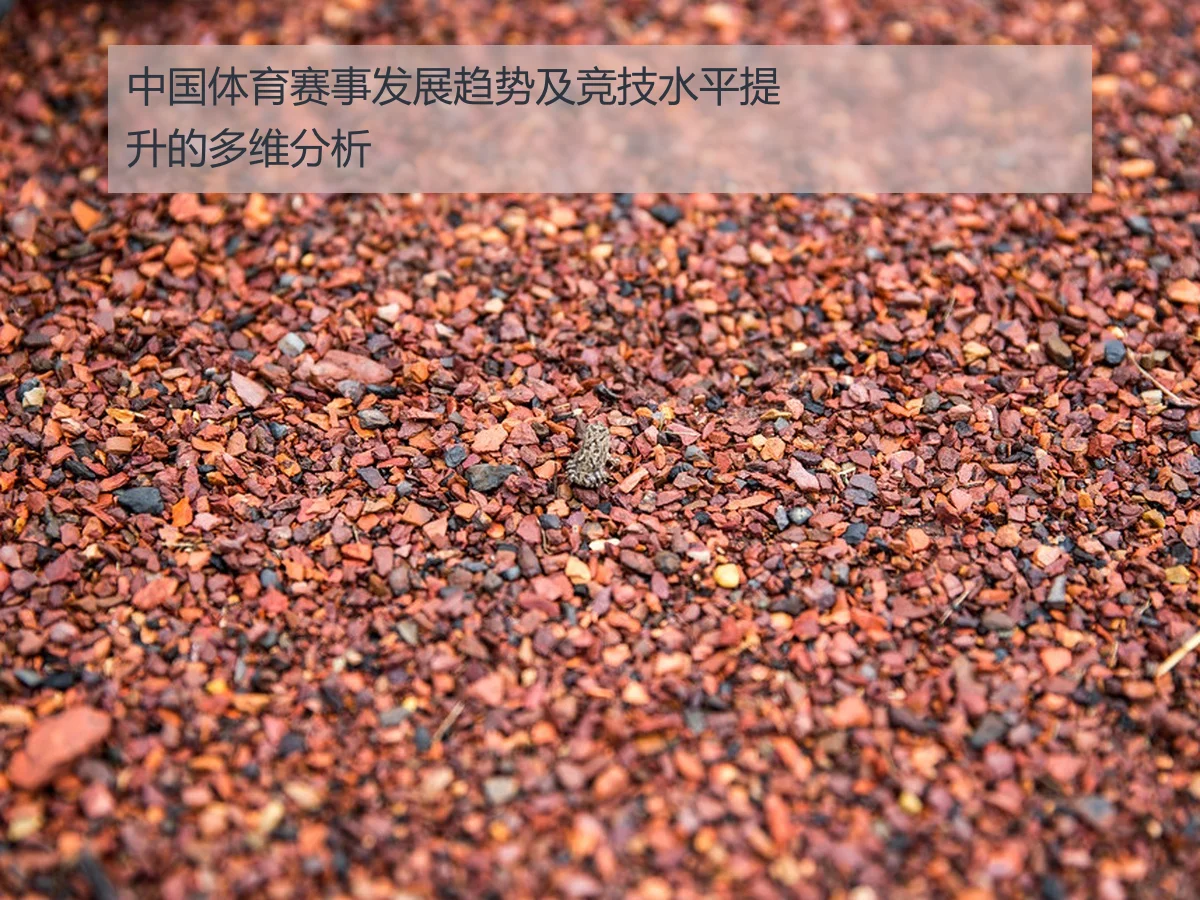 中国体育赛事发展趋势及竞技水平提升的多维分析
